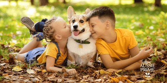 ¿Cómo involucrar a mis hijos en la alimentación saludable de mi mascota con dieta BARF?