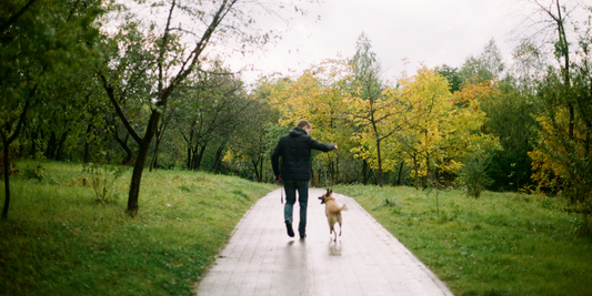 La importancia de pasear a tu mascota