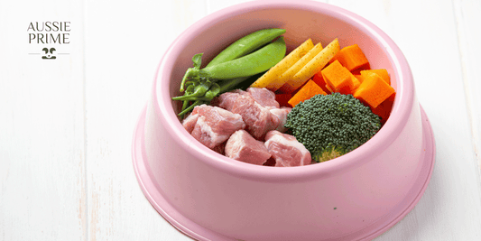 Los mejores alimentos para perros