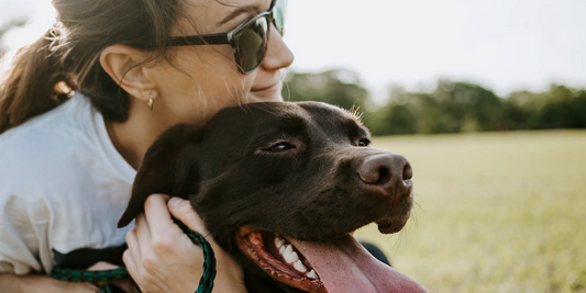 ¿Por qué el perro es considerado el mejor amigo del hombre?