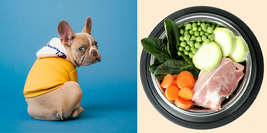 ¿Qué es la dieta BARF?