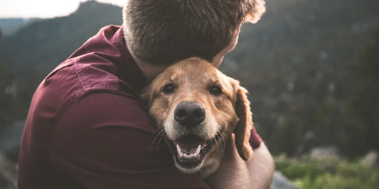 ¿Cuál es la raza de perro preferida por los mexicanos?