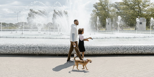 Las mejores razas de perro para vivir en familia