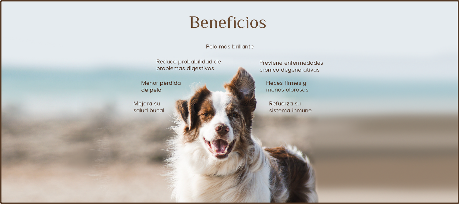 Alimento Barf en Guadalajara