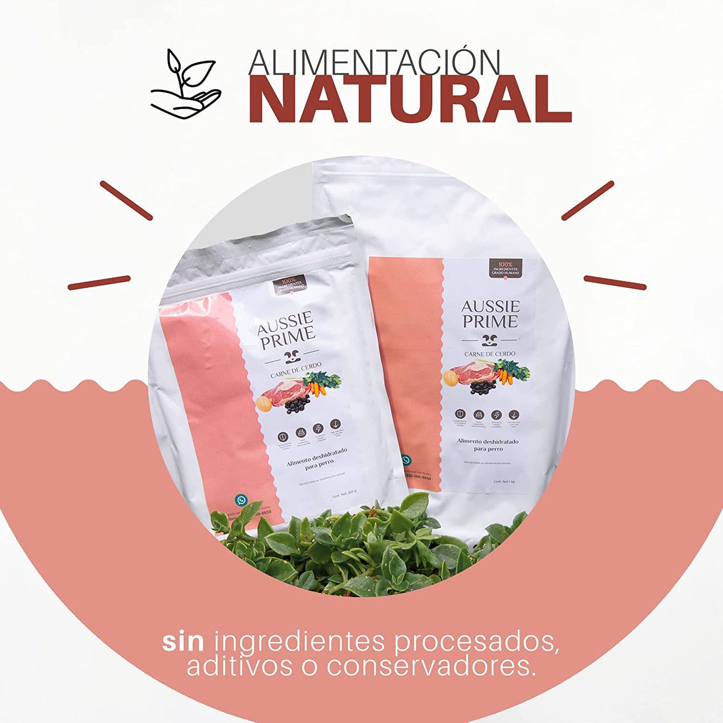 Alimento Deshidratado sabor Cerdo en Pouch (1 Kg)