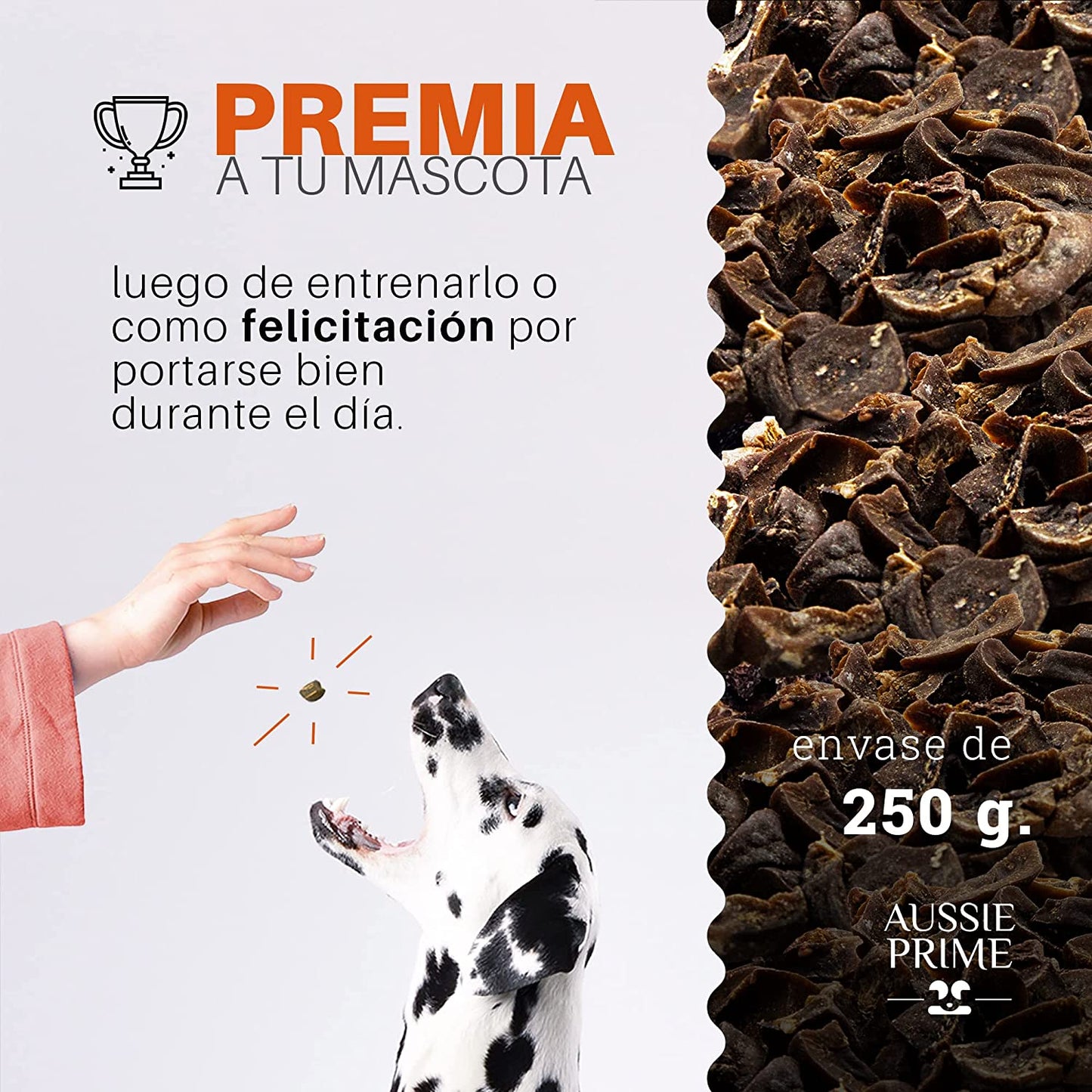 Premios para Perro – Riñon de Cerdo Deshidratado – 250 gr