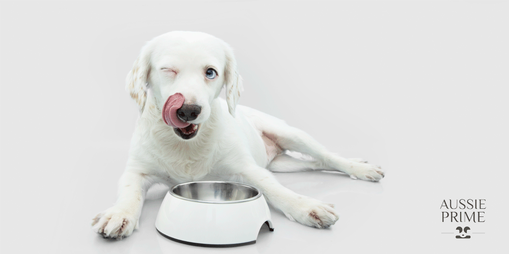 ¿Cómo realizar una transición gradual de la alimentación comercial a la dieta BARF para tu perro?